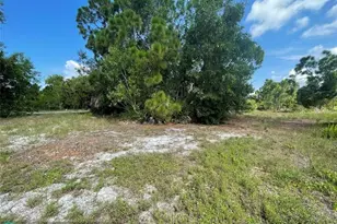 4513 NW 34th Pl, Cape Coral, FL 33993 - Photo 8