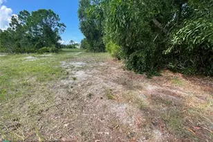 4513 NW 34th Pl, Cape Coral, FL 33993 - Photo 12