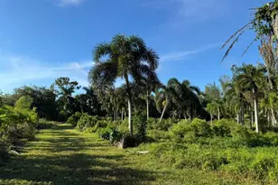 14344 N Rd, Loxahatchee Groves, FL 33470 - Photo 10