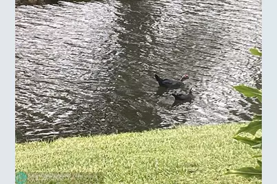 1668  Cypress Pointe Dr, Unit #1668, Coral Springs, FL 33071 - Photo 22