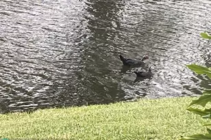 1668 Cypress Pointe Dr, Coral Springs, FL 33071 - Photo 22