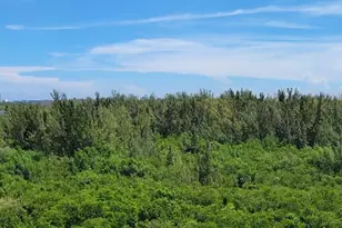 15051 Royal Oaks Ln, North Miami, FL 33181 - Photo 16