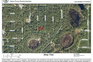 00 NE 113 Ave, Fort Mc Coy, FL 32134 - Photo 2