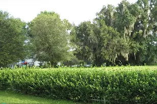 555 SW 87th Pl, Ocala, FL 34476 - Photo 32