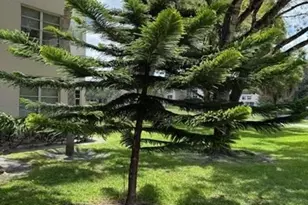 1811 Sabal Palm Unit, Davie, FL 33324 - Photo 56