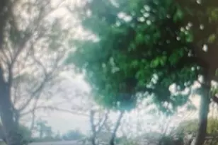 901 NW 24th Ave, Fort Lauderdale, FL 33311 - Photo 2