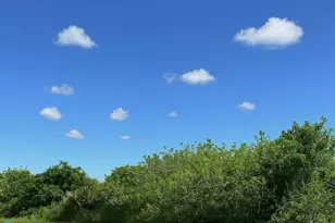 6617 SE 26th Trl, Okeechobee, FL 34974 - Photo 2