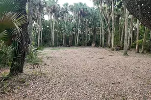 15148 NW 288th St, Okeechobee, FL 34972 - Photo 12