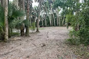 15148 NW 288th St, Okeechobee, FL 34972 - Photo 10