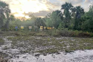 15148 NW 288th St, Okeechobee, FL 34972 - Photo 4