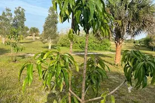 15148 NW 288th St, Okeechobee, FL 34972 - Photo 32