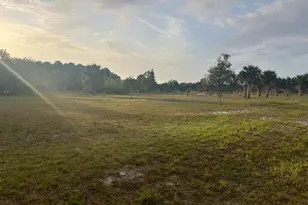 15148 NW 288th St, Okeechobee, FL 34972 - Photo 22