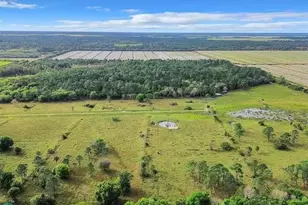 2777 Everhigh Acres Rd, Clewiston, FL 33440 - Photo 8