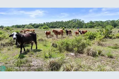 2777  Everhigh Acres Rd, Clewiston, FL 33440 - Photo 12