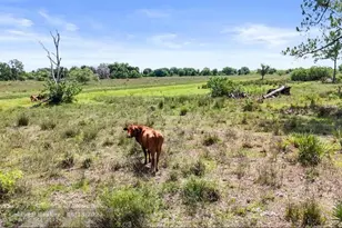 2777 Everhigh Acres Rd, Clewiston, FL 33440 - Photo 14