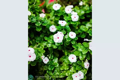 3301 SE 12th St, Pompano Beach, FL 33062 - Photo 34