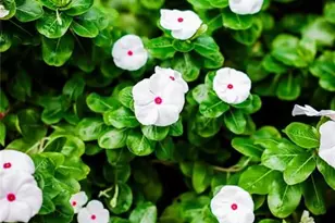 3301 SE 12th St, Pompano Beach, FL 33062 - Photo 34