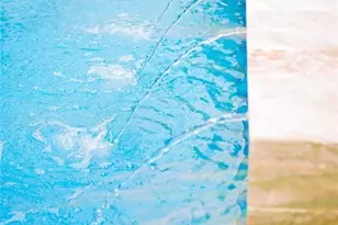 3301 SE 12th St, Pompano Beach, FL 33062 - Photo 72