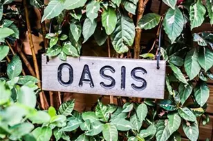 3301 SE 12th St, Pompano Beach, FL 33062 - Photo 30