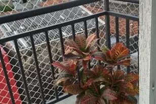 399 Cavour Unit, Other City - Not In The State Of Florida, FL 03316 - Photo 4