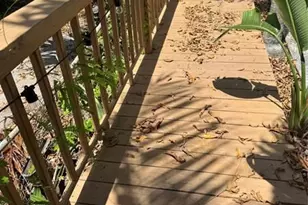 1100 NE 182nd St, North Miami Beach, FL 33162 - Photo 14