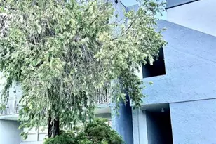 [Address not provided], Miami, FL 33172 - Photo 30