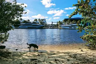 1317 SW 18th Ave, Fort Lauderdale, FL 33312 - Photo 44