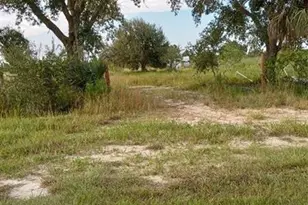 17925 NW 316th St, Okeechobee, FL 34972 - Photo 2