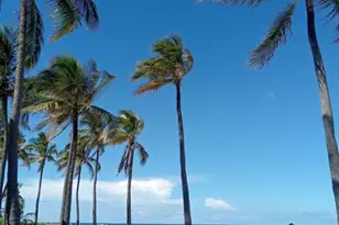 850 E Commercial Blvd, Oakland Park, FL 33334 - Photo 24