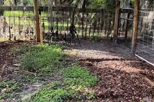 11793 US Hwy 441, Okeechobee, FL 34974 - Photo 6