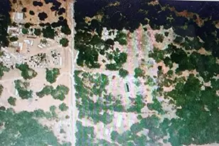 0000 SE Thomas Way, Lee, FL 32059 - Photo 2