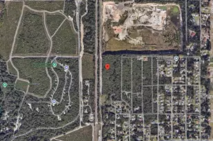 0 Riegel Paper, Orange City, FL 32763 - Photo 4