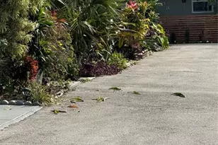 2452 Taylor St, Hollywood, FL 33020 - Photo 1