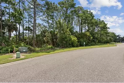 96744  Soap Creek Dr, Fernandina Beach, FL 32034 - Photo 4