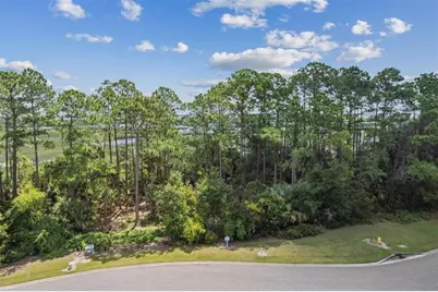 96744  Soap Creek Dr, Fernandina Beach, FL 32034 - Photo 2