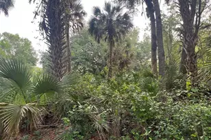 15148 NW 288th St, Okeechobee, FL 34972 - Photo 12