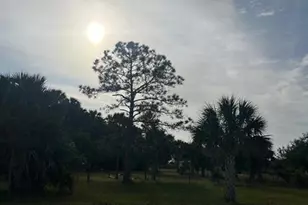 15148 NW 288th St, Okeechobee, FL 34972 - Photo 38