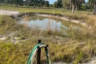 15148 NW 288th St, Okeechobee, FL 34972 - Photo 36