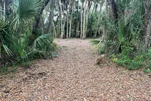 15148 NW 288th St, Okeechobee, FL 34972 - Photo 14