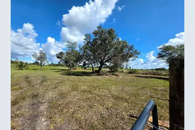 17019 NW 296th St, Okeechobee, FL 34972 - Photo 4