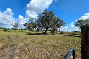 17019 NW 296th St, Okeechobee, FL 34972 - Photo 4