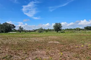 17019 NW 296th St, Okeechobee, FL 34972 - Photo 8