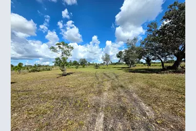 17019 NW 296th St, Okeechobee, FL 34972 - Photo 6