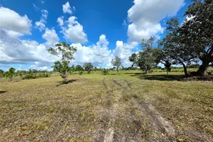 17019 NW 296th St, Okeechobee, FL 34972 - Photo 6