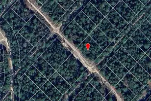 118 N Carolina Dr, Other City - In The State Of Florida, FL 32189 - Photo 2