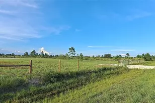 17927 NW 302nd St, Okeechobee, FL 34972 - Photo 8