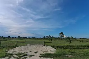 17927 NW 302nd St, Okeechobee, FL 34972 - Photo 14