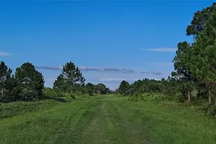 17927 NW 302nd St, Okeechobee, FL 34972 - Photo 10