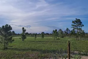 17927 NW 302nd St, Okeechobee, FL 34972 - Photo 6