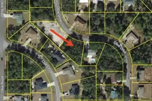 26 Olive Dr, Ocala, FL 34472 - Photo 2